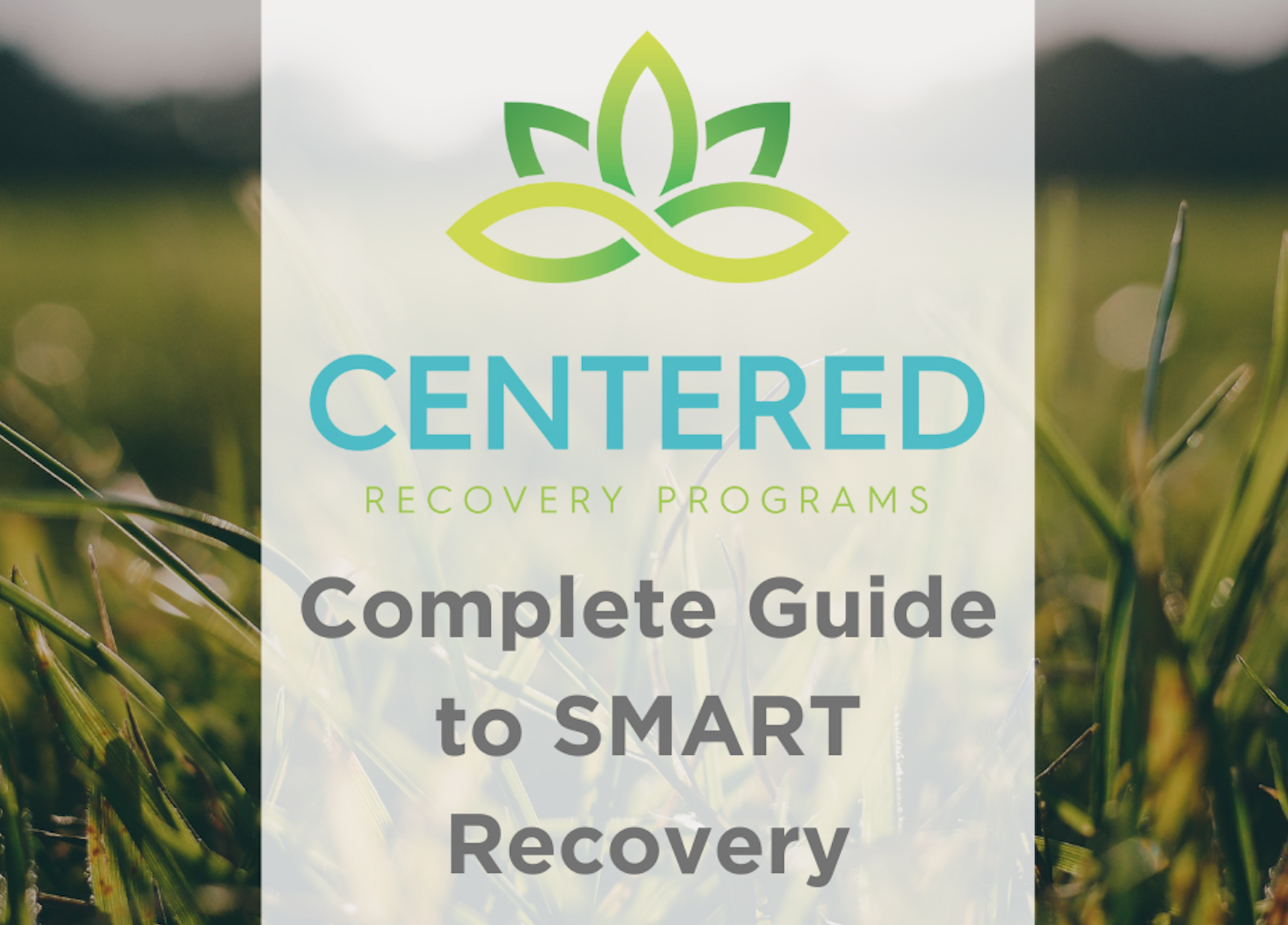 The Complete Guide to SMART Recovery